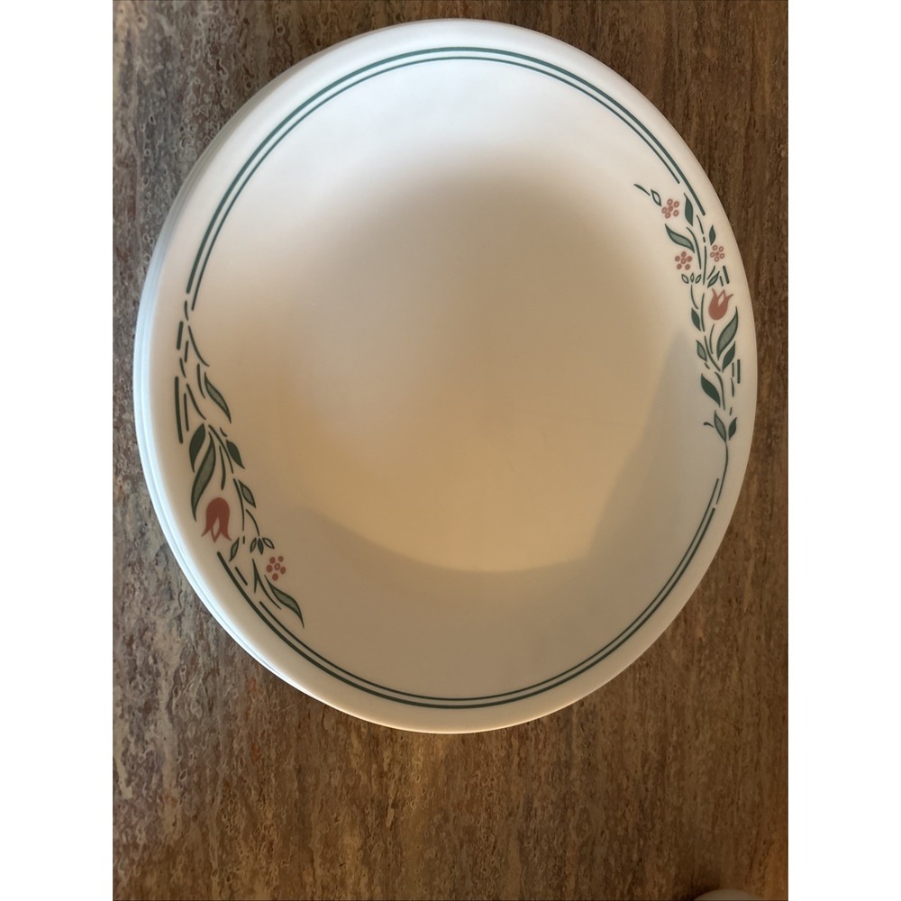 Corelle Corning Rosemarie Tulips Dinner Plates Set Of 4 10-1/4" Diameter
